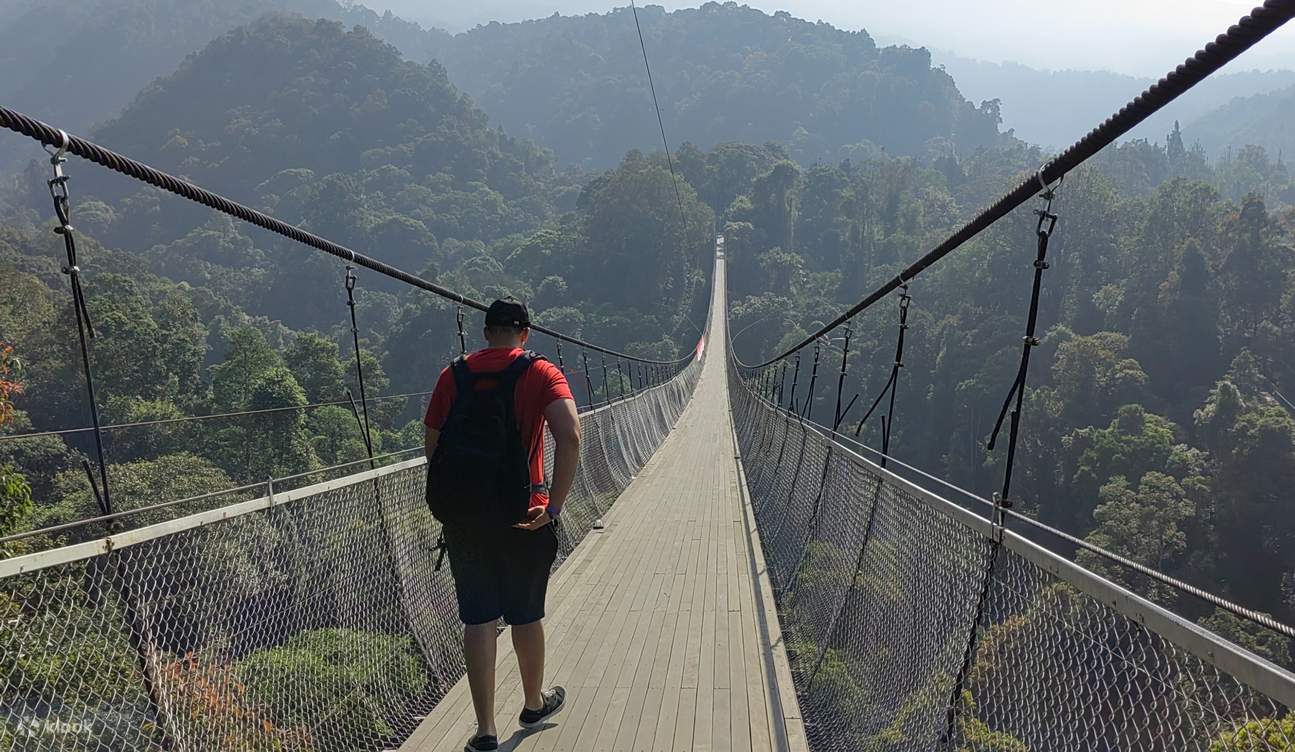 Pesona Situ Gunung Suspension Bridge, Jembatan Terpanjang di Asia Tenggara