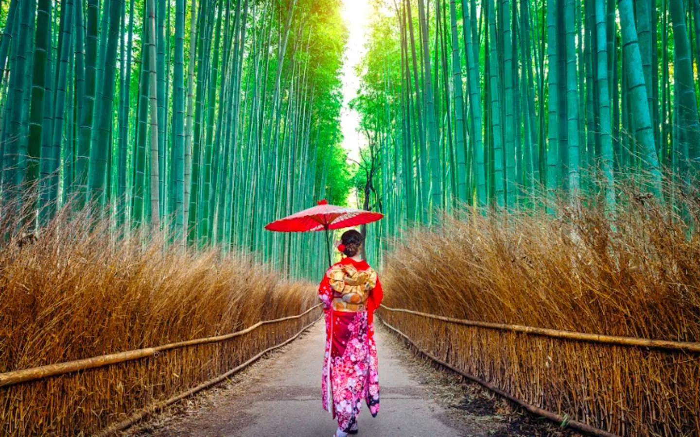 Turis Mulai Tinggalkan Tokyo dan Kyoto, Pilih Destinasi Baru di Jepang